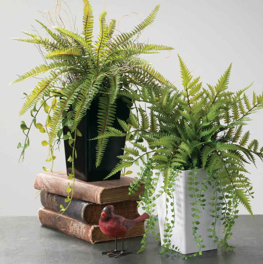 faux fern potted plant White Potted Fern