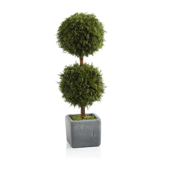 Cypress Double Topiary - 13 Hub Lane   |  