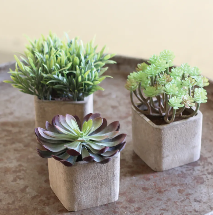 small succulent plants artificial Small Artificial Succulent in a Square Pot