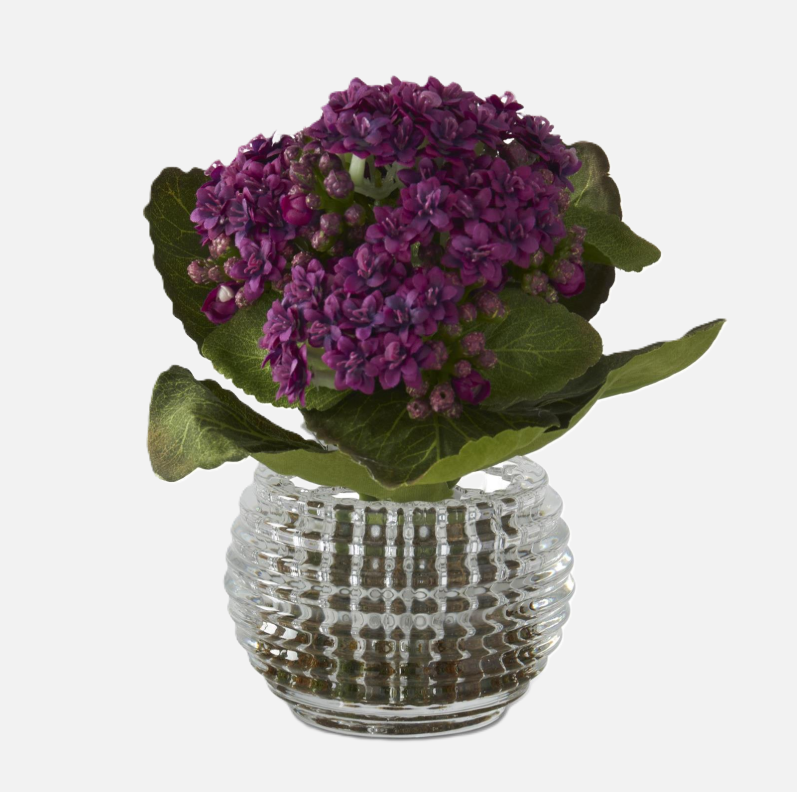 Purple Kalanchoe w/ Moss in Pressed Glass Vase