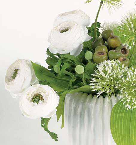 White Ranunculus Accent - 13 Hub Lane   |  