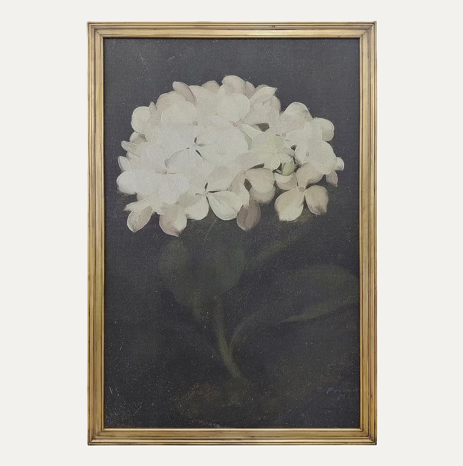 Grand Hydrangea Framed Print - 13 Hub Lane   |  