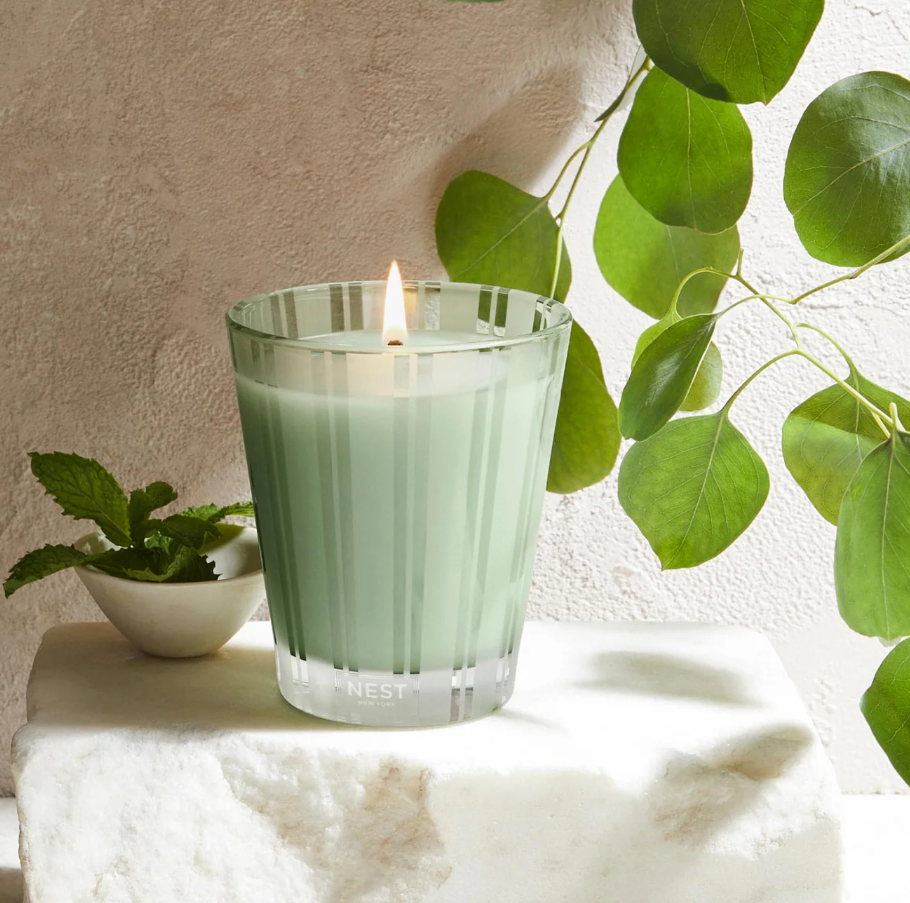 NEST Wild Mint & Eucalyptus Classic Candle