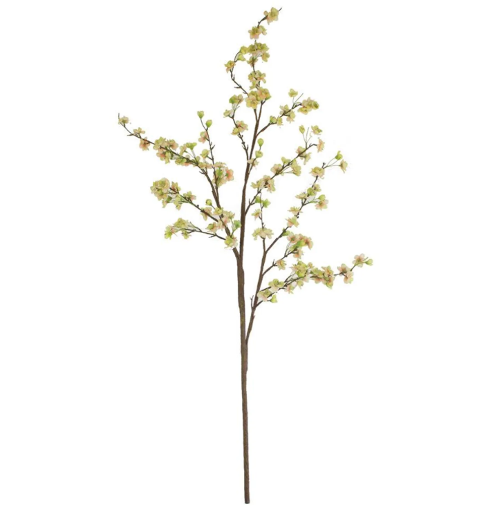 Botanica #2850