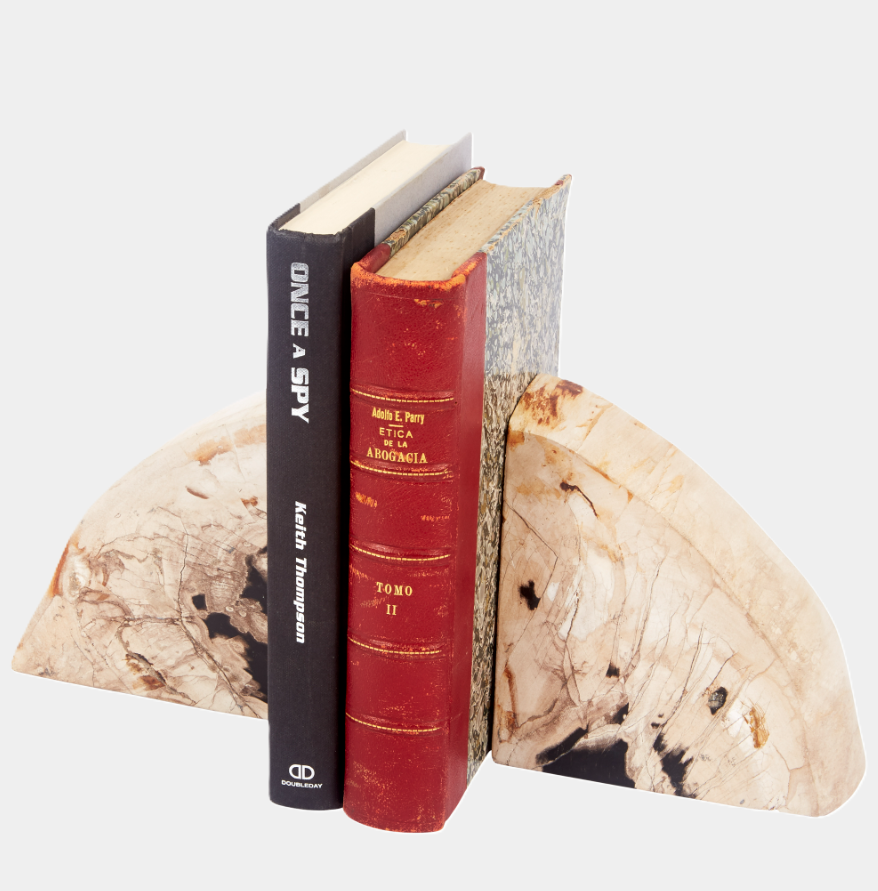 Petrified Wood Bookend - 13 Hub Lane   |  
