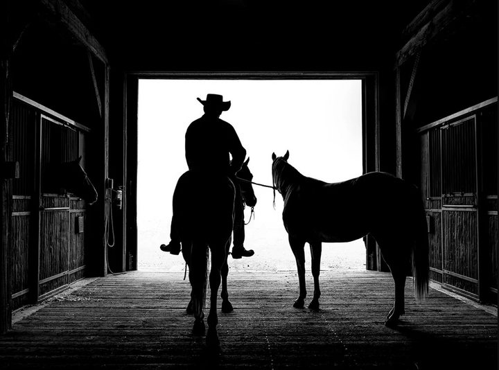 Ranchland: Wagonhound - 13 Hub Lane   |  