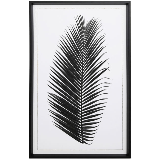 Black Frond I - 13 Hub Lane   |  Under Glass Prints & Art