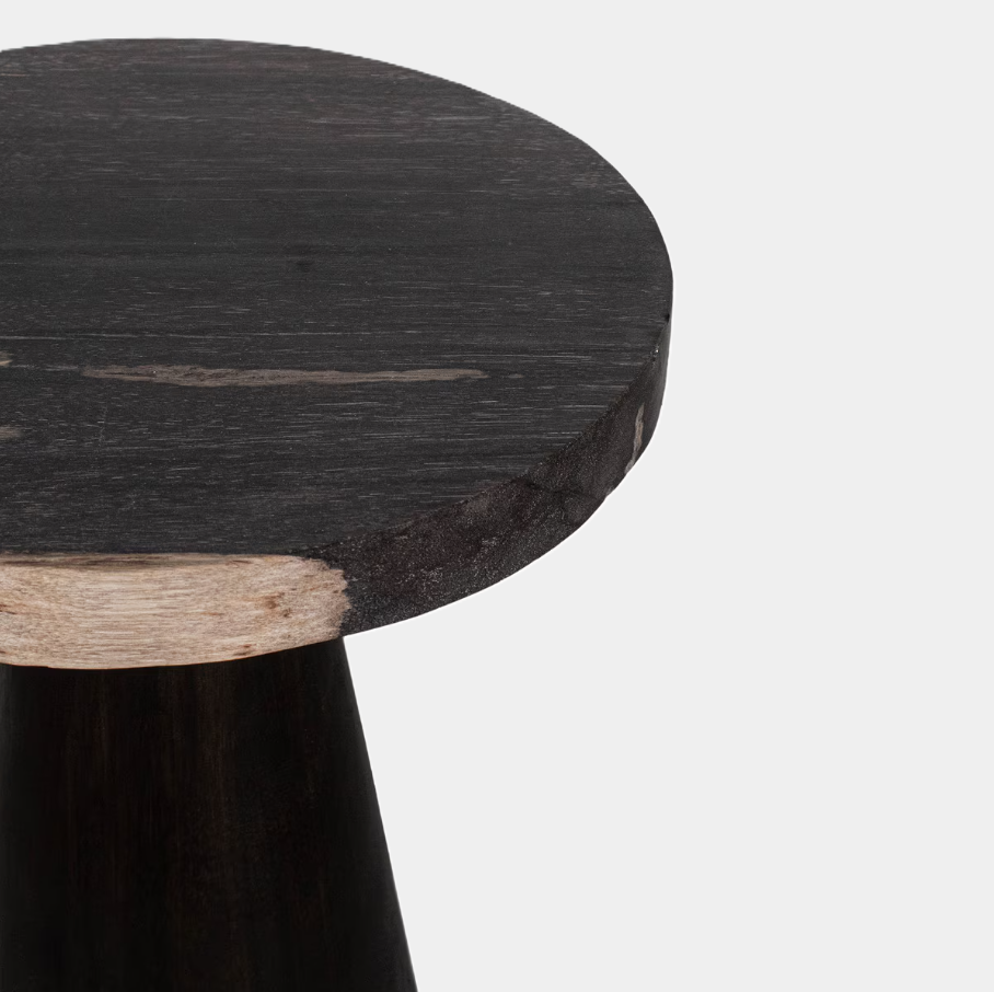 Kayu Petrifed Wood Pedestal Table - 13 Hub Lane   |  Accent Tables
