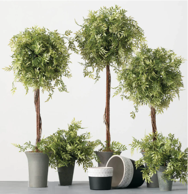 13 Hub Lane Wisteria Topiary - Thumbnail 2