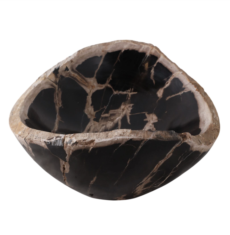 Petrified Wood Oval Bowl