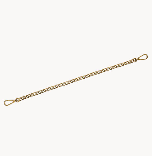 Hammitt Metal Chain Shoulder Strap