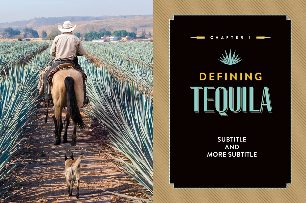 A Field Guide to Tequila - 13 Hub Lane   |  
