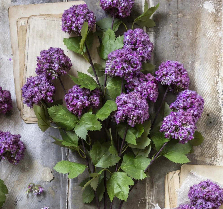 Artificial Guelder Rose, Mauve