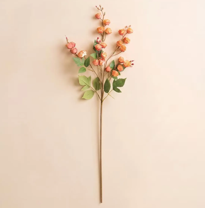 Botanica #3697