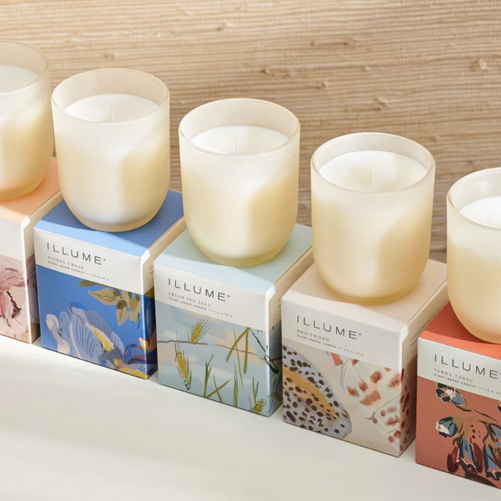 Blackberry Absinthe Baby Boxed Glass Candle - 13 Hub Lane   |  Blackberry Absinthe