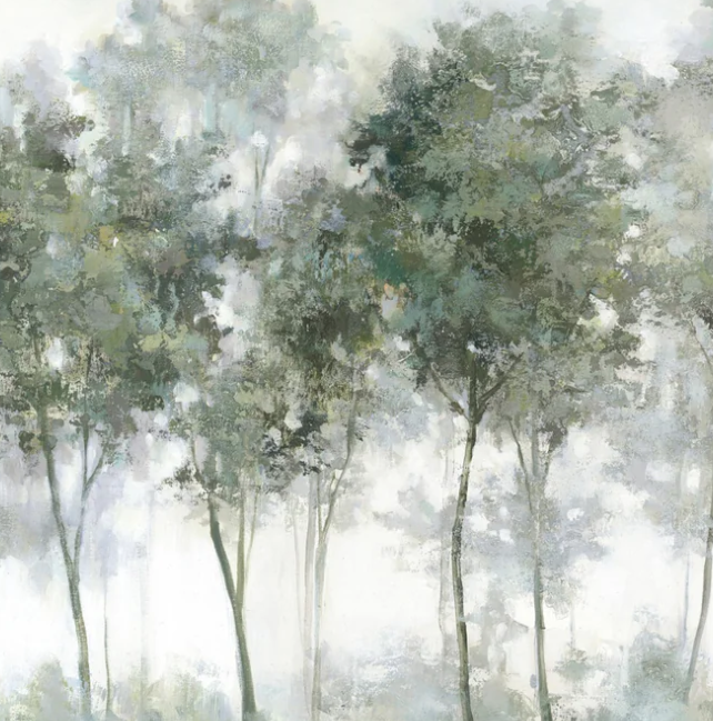 Misty Forest II