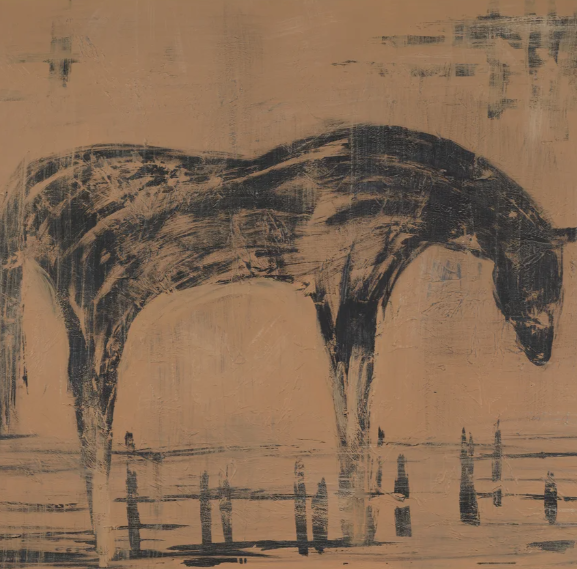 Palomino - 13 Hub Lane   |  