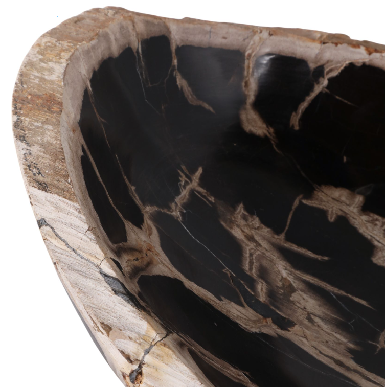 Petrified Wood Oval Bowl