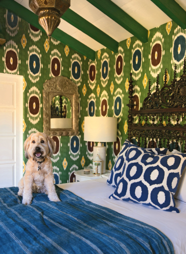 At Home With Dogs & Their Designers - 13 Hub Lane   |  