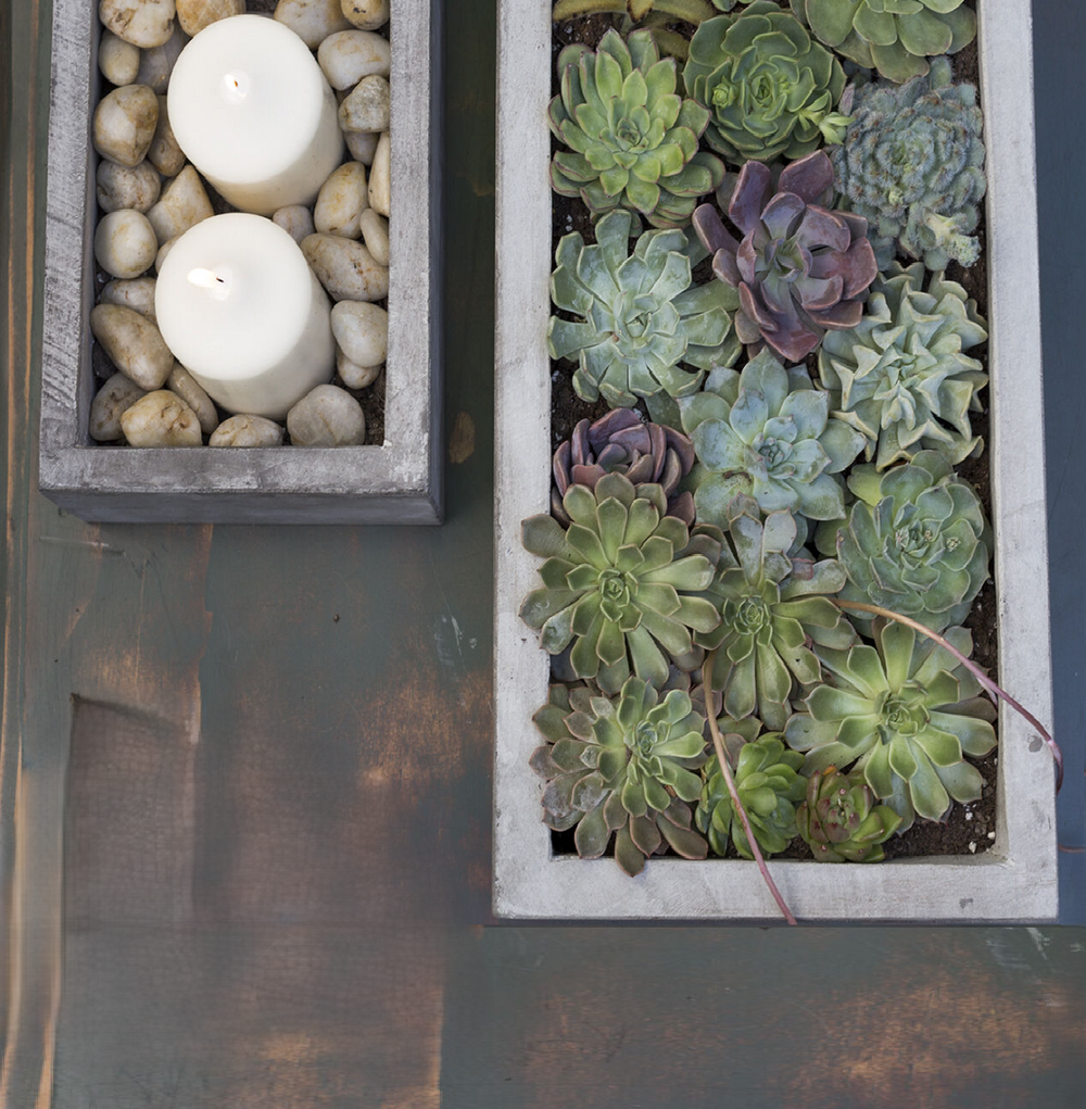 Newport Planter - 13 Hub Lane   |  Concrete Planters