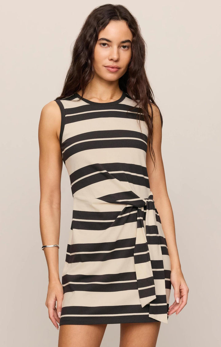 Mattie Striped Mini Dress, Ash Black