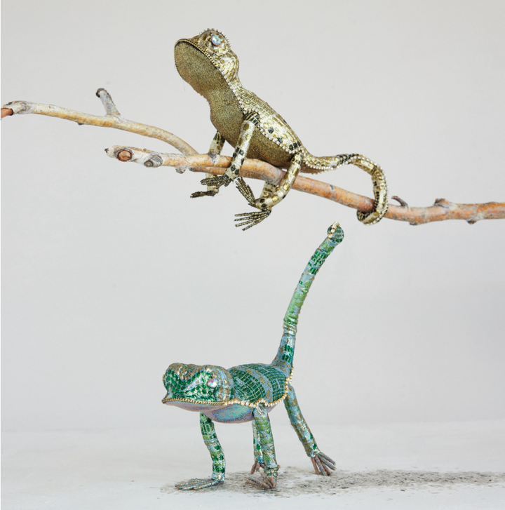 Jewel-Adorned Lizard