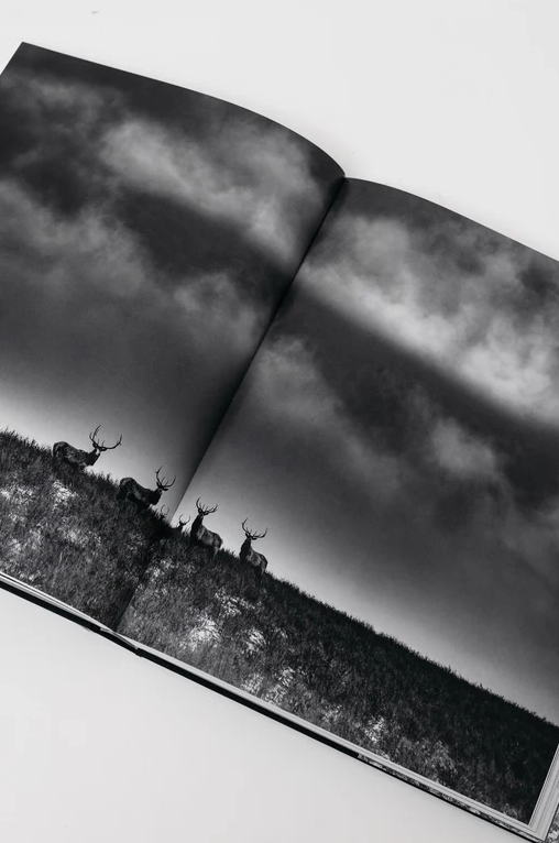 Ranchland: Wagonhound - 13 Hub Lane   |  