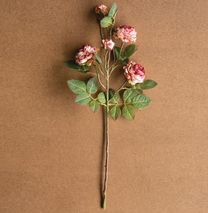 Antique Garden Rose Stem - 13 Hub Lane   |  Botanical Stems