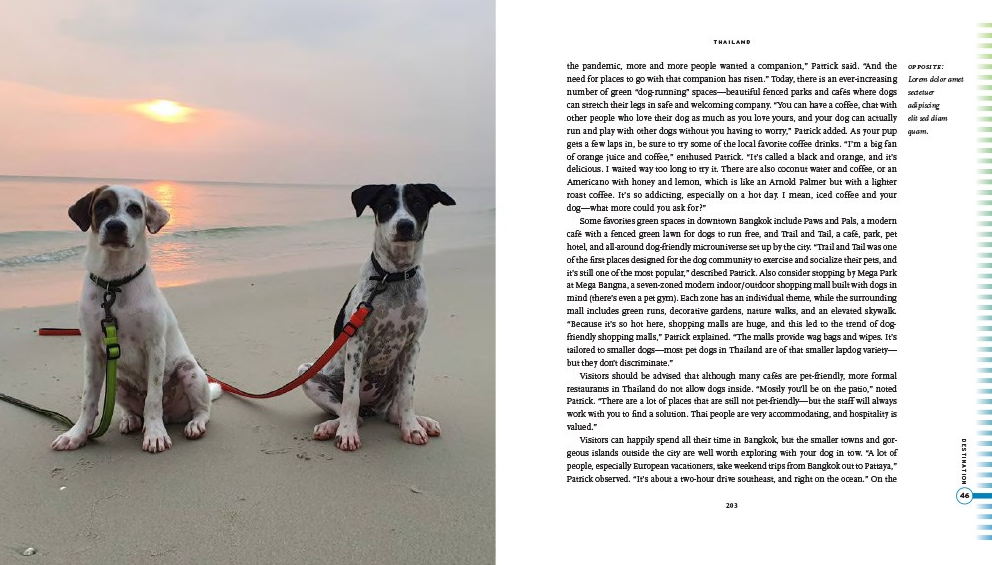 Fifty Places To Travel With Your Dog - 13 Hub Lane   |  