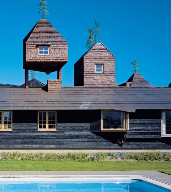 Treehouses, Towers, and Tea Rooms: The Architecture of Terunobu Fujimori
