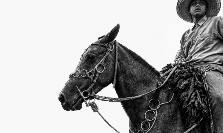 Frontier: Cowboys of the Americas - Limited Edition