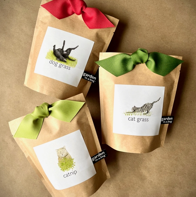 Garden in a Bag, Dog Grass