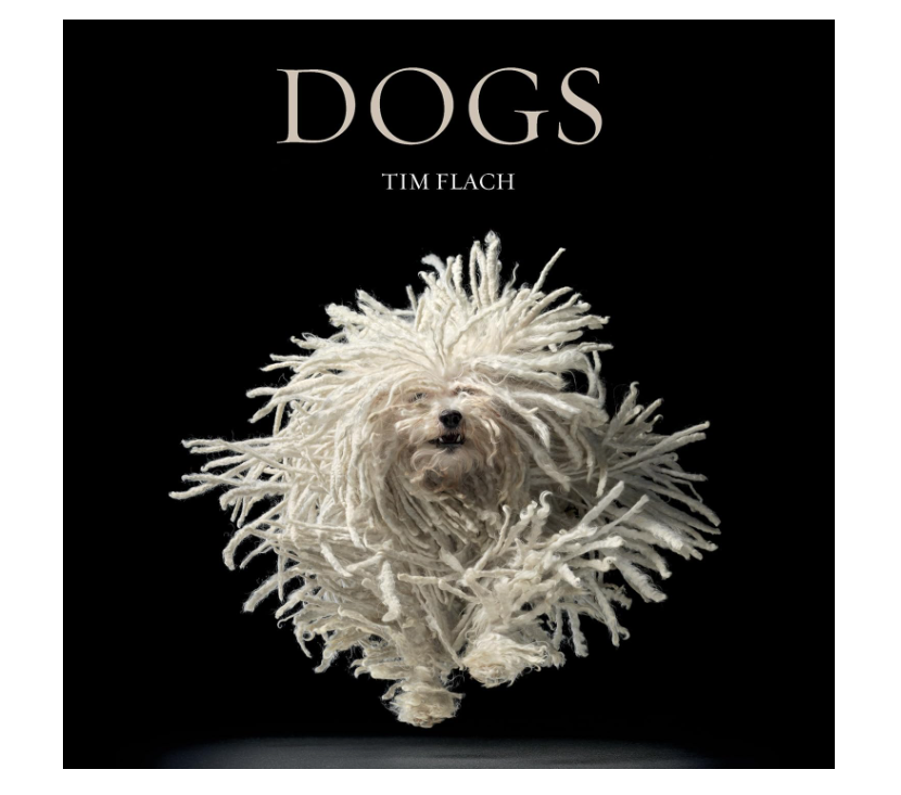 Dogs by Tim Flach