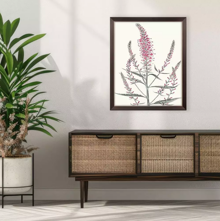 Pink Veronique I - 13 Hub Lane   |  