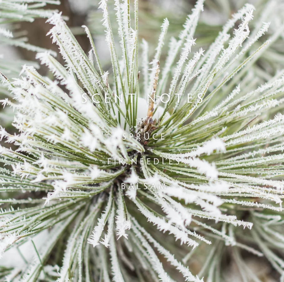 Linnea Forest Fir Reed Diffuser