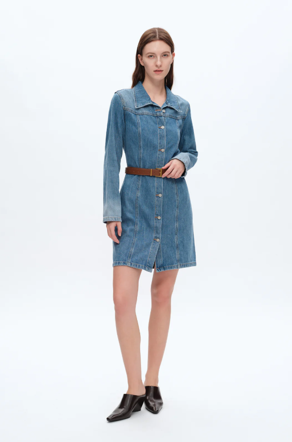 Denim Mini Dress With Long Sleeves