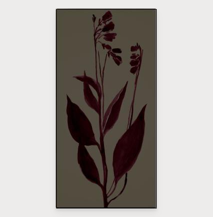 Lilty Maroon I