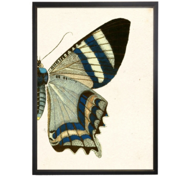 Grey Butterfly Dyptich
