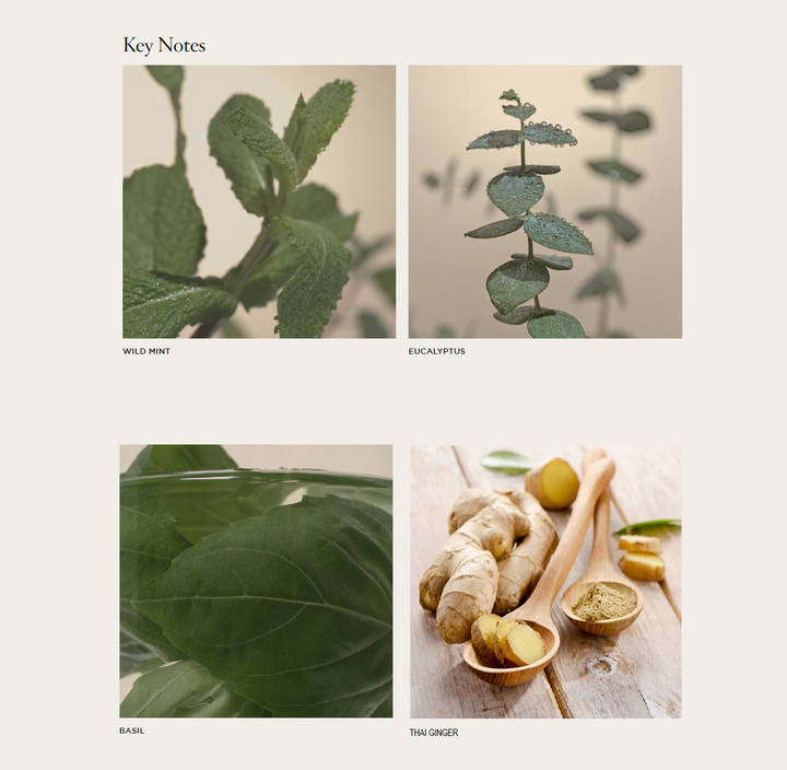 NEST Wild Mint & Eucalyptus Classic Candle