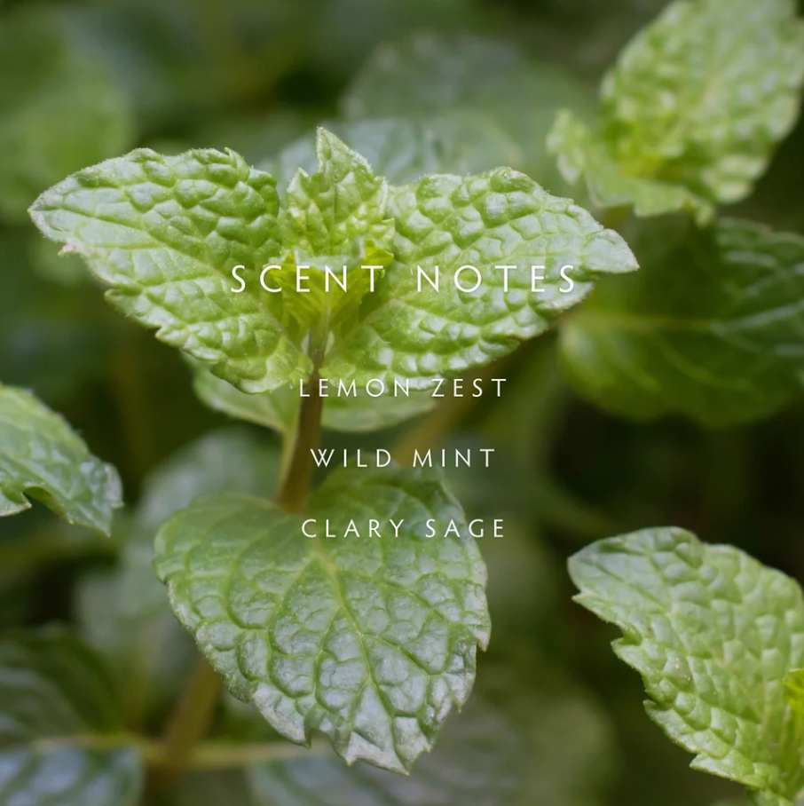 Linnea Crushed Mint Hand Wash