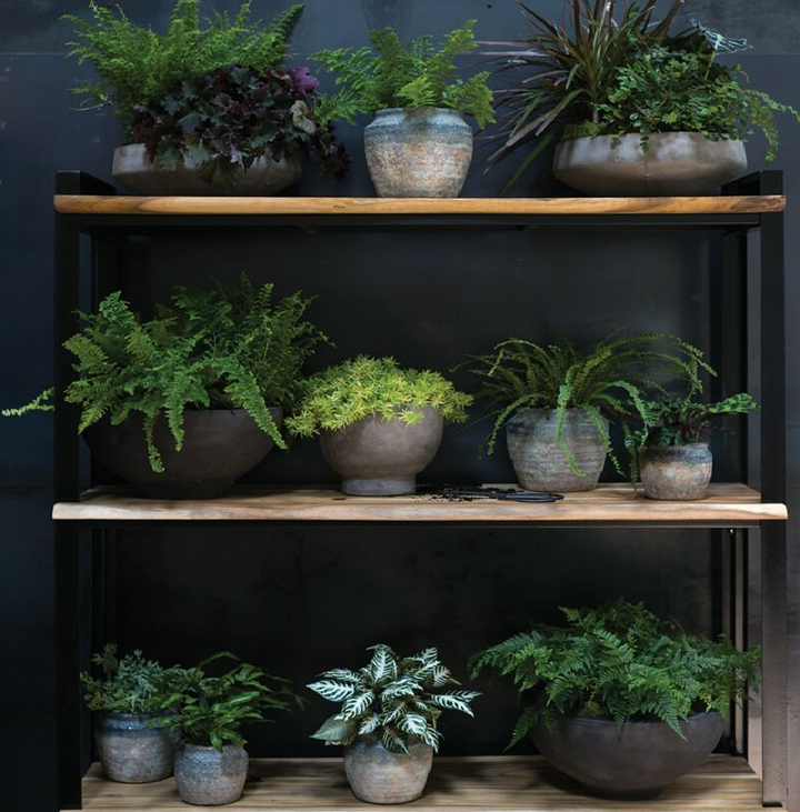 Earthy Pot - 13 Hub Lane   |  