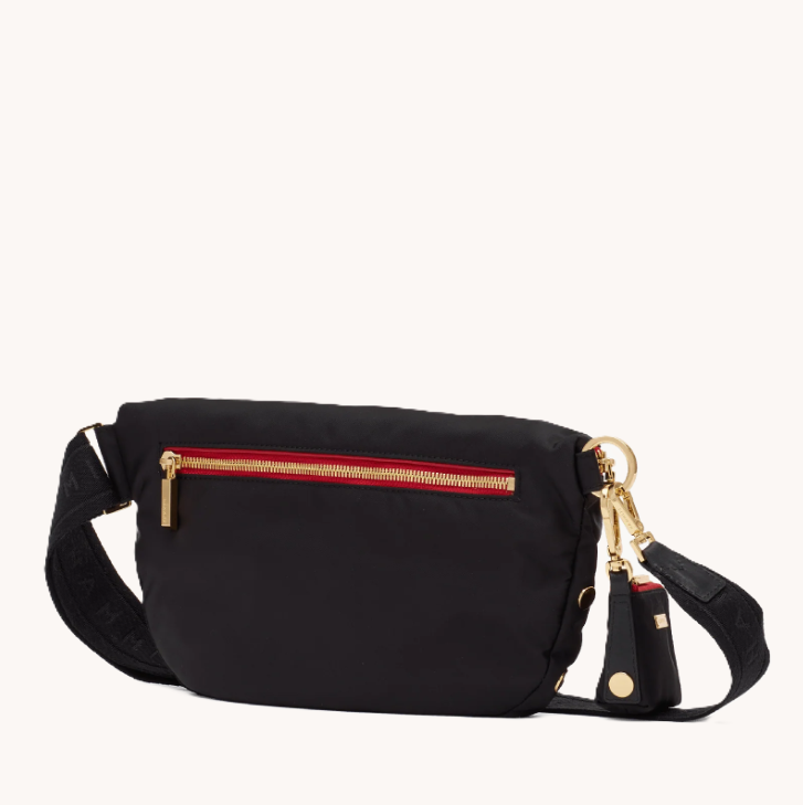 Hammitt Charles Crossbody Large