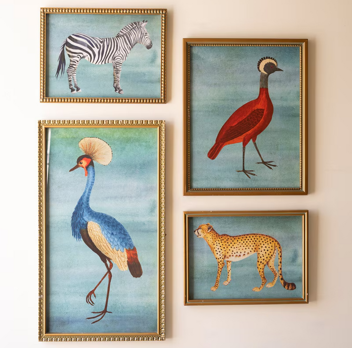 Framed Exotic Animal Print Under Glass - 13 Hub Lane   |  