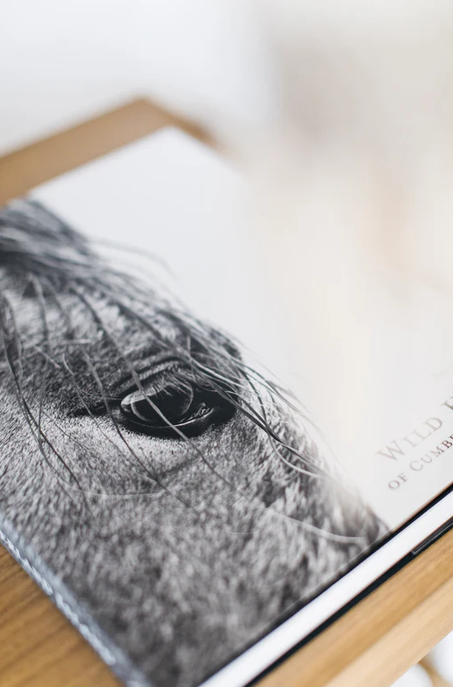Wild Horses of Cumberland Island