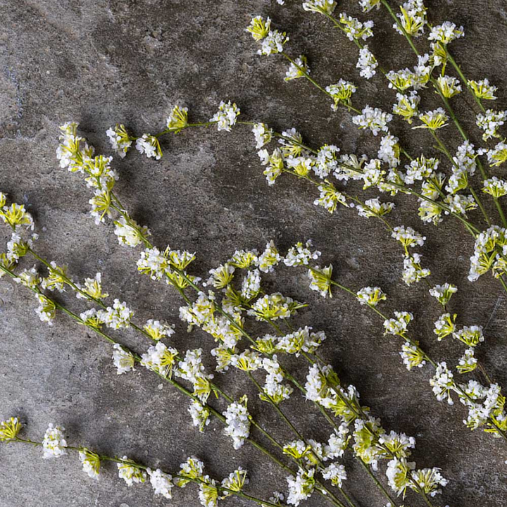 Artificial Myrtle Blossom - 13 Hub Lane   |  