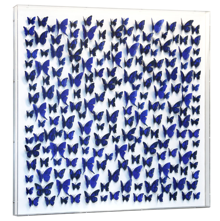 Papillion IV Framed Art