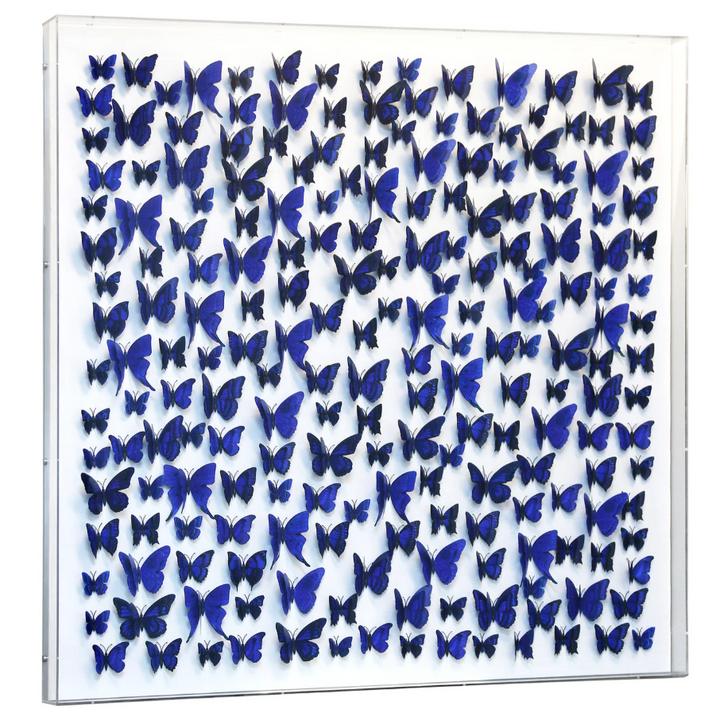 Papillion IV Framed Art