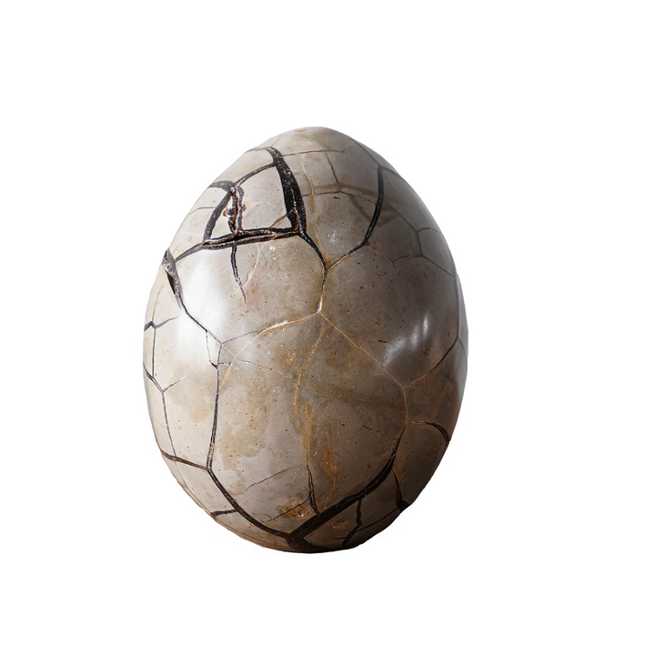 Septarian Dragon Egg