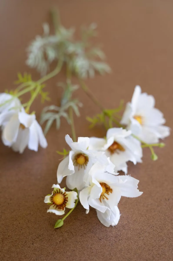 Artificial White Cosmos Spray, White