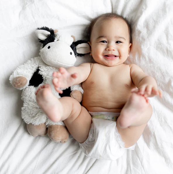 Warmies Cow - 13 Hub Lane   |  Warmies